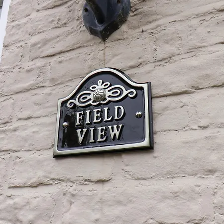 Field View