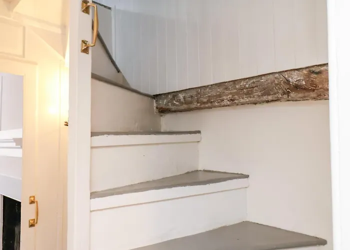 Field View * 惠特比