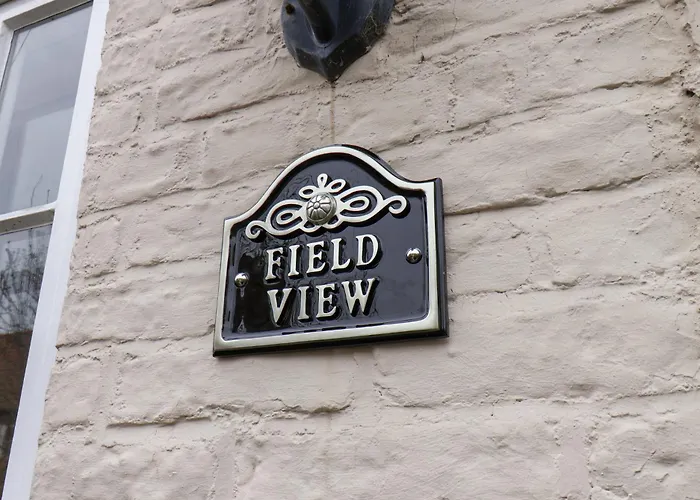 Field View
